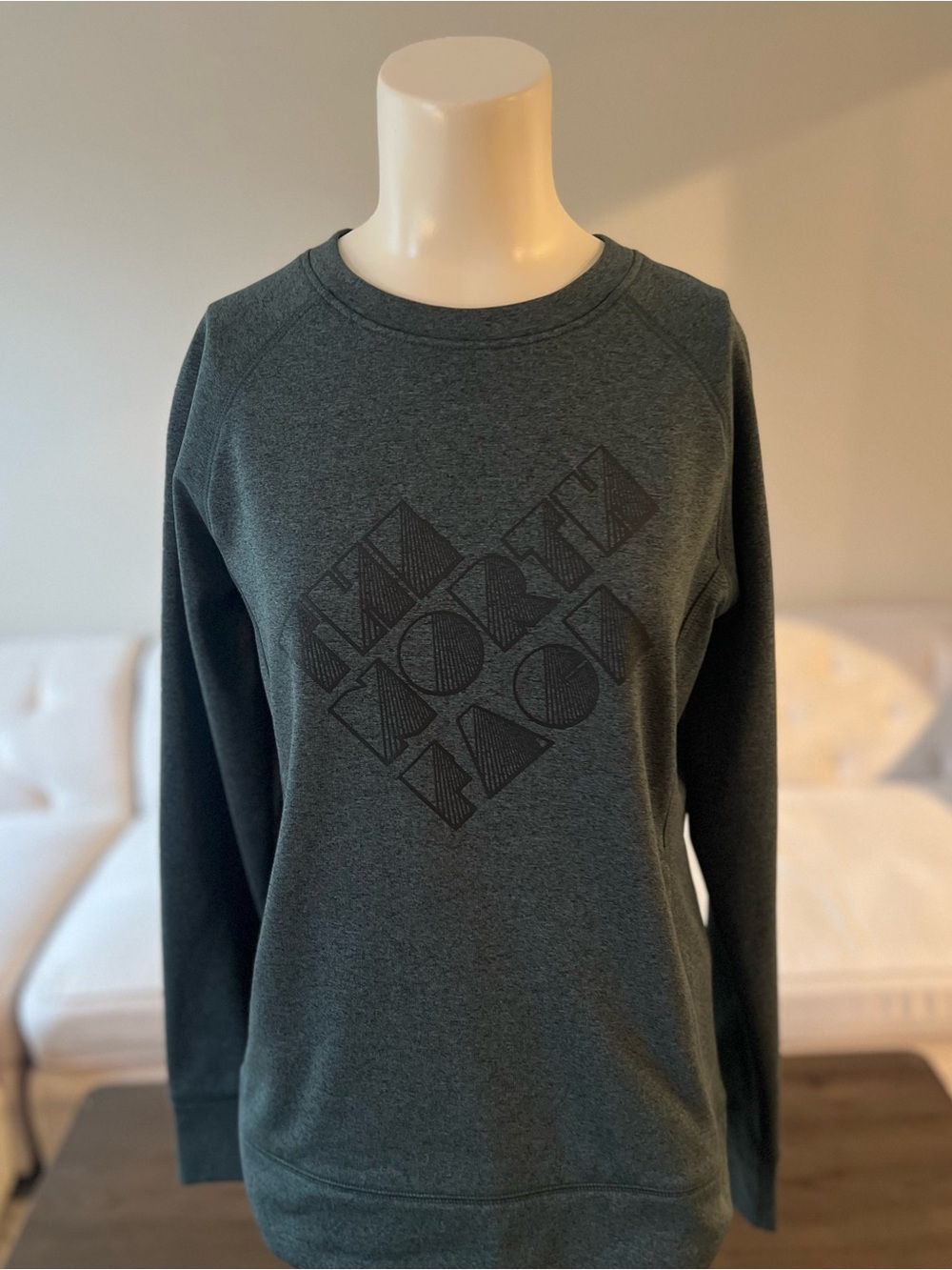 The North Face Crewneck Sweatshirt Outdoor Active Hiking Gorpcore